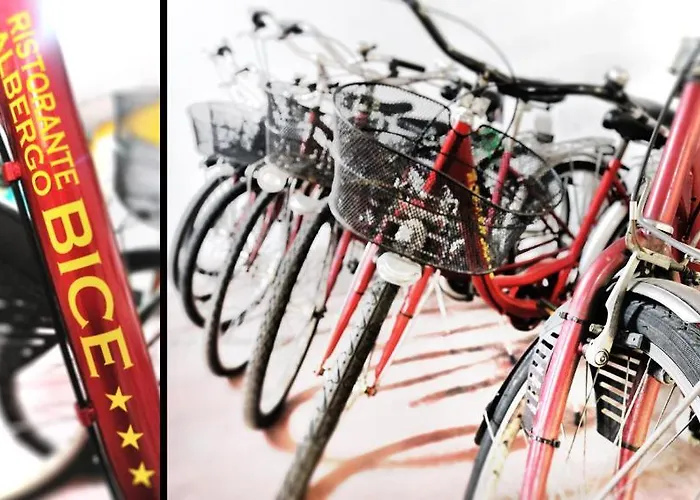 Bice Сенигаллия